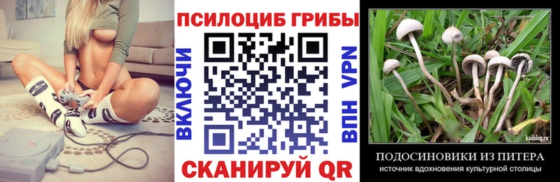Псилоцибиновые грибы ЛСД  хочу наркоту  Котлас 
