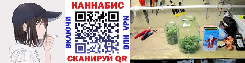 Марихуана семена Котлас